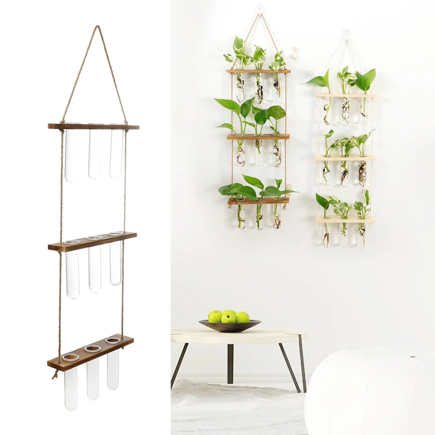 Test Tubes Glass Planter Wall Hanging Terrarium Container Flower Bud Vase with Wooden Holder for Propagation Hydroponic Plant