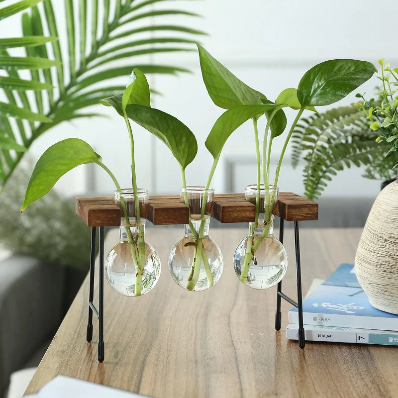 Creative Wooden Frame Hydroponic Plant Container Glass Bulb Vase Home Tabletop Decor Vases Beaker Glass Planter Bonsai