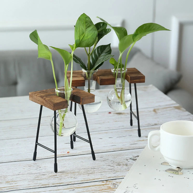 Creative Wooden Frame Hydroponic Plant Container Glass Bulb Vase Home Tabletop Decor Vases Beaker Glass Planter Bonsai