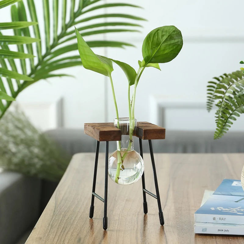 Creative Wooden Frame Hydroponic Plant Container Glass Bulb Vase Home Tabletop Decor Vases Beaker Glass Planter Bonsai