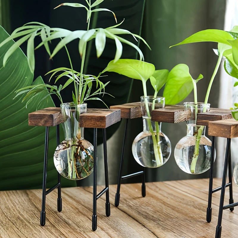 Creative Wooden Frame Hydroponic Plant Container Glass Bulb Vase Home Tabletop Decor Vases Beaker Glass Planter Bonsai