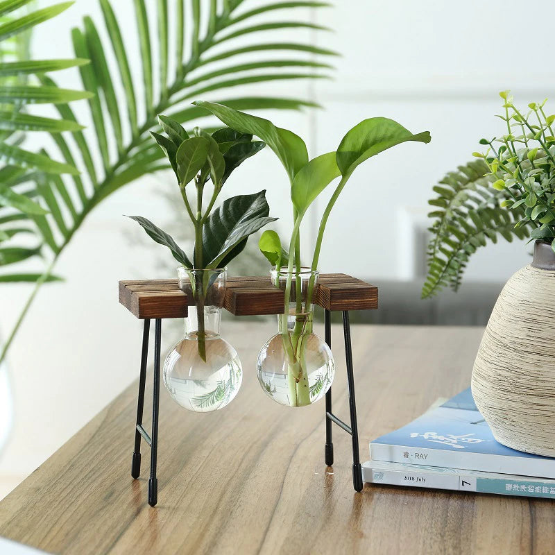 Creative Wooden Frame Hydroponic Plant Container Glass Bulb Vase Home Tabletop Decor Vases Beaker Glass Planter Bonsai