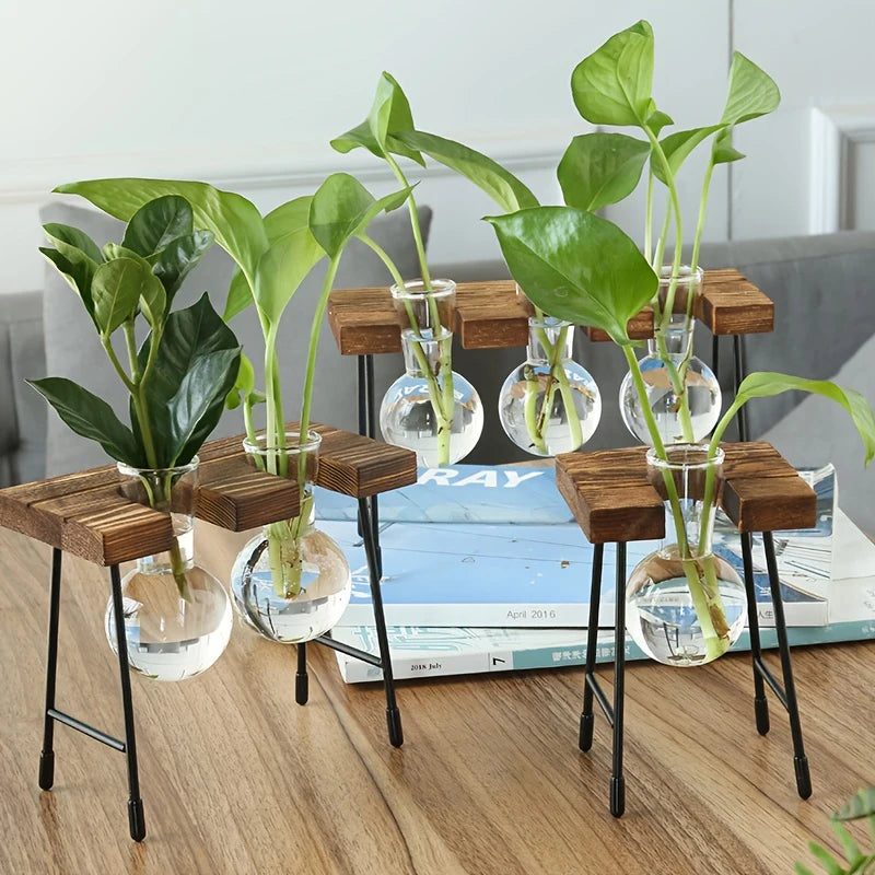 Creative Wooden Frame Hydroponic Plant Container Glass Bulb Vase Home Tabletop Decor Vases Beaker Glass Planter Bonsai