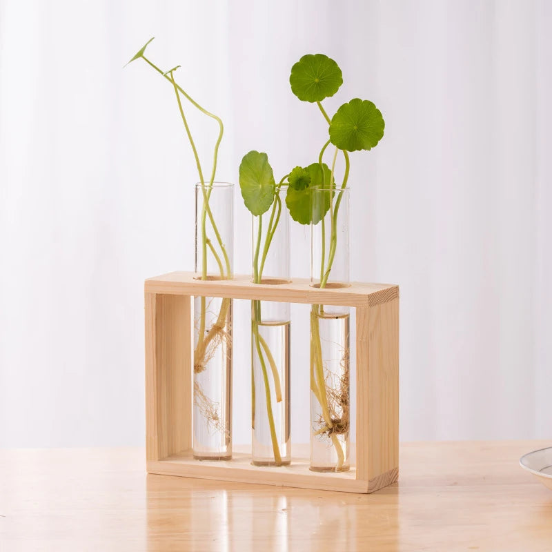 1 Set Creative Hydroponic Plants Container With Wood Frame Transparent Glass Test Tube Vase Bonsai Home Desktop Decor Crafts