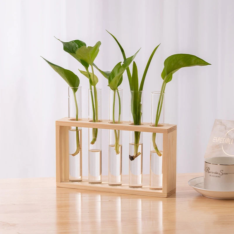 1 Set Creative Hydroponic Plants Container With Wood Frame Transparent Glass Test Tube Vase Bonsai Home Desktop Decor Crafts