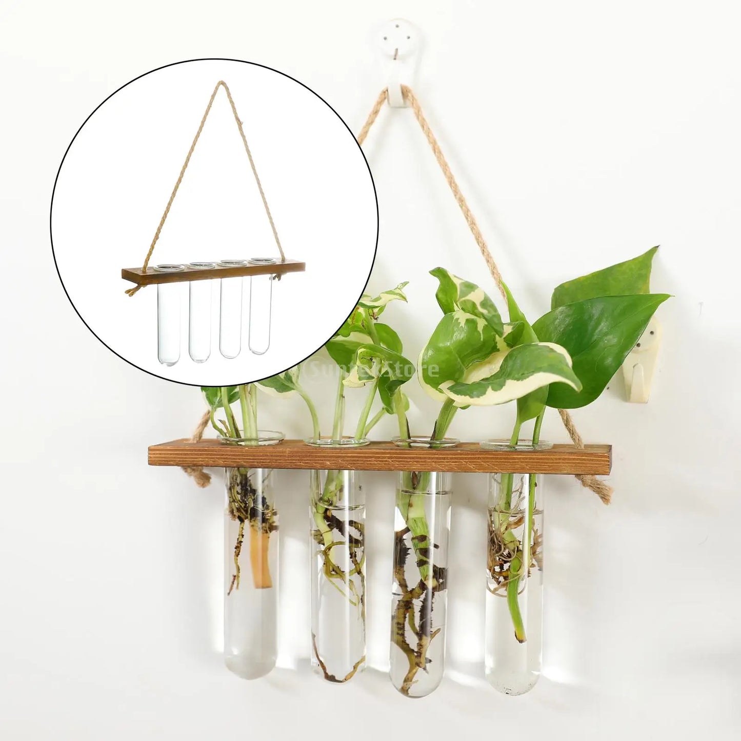 Test Tubes Glass Planter Wall Hanging Terrarium Container Flower Bud Vase with Wooden Holder for Propagation Hydroponic Plant