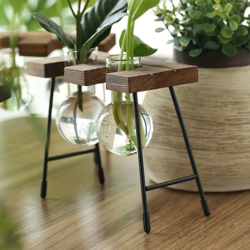 Creative Wooden Frame Hydroponic Plant Container Glass Bulb Vase Home Tabletop Decor Vases Beaker Glass Planter Bonsai