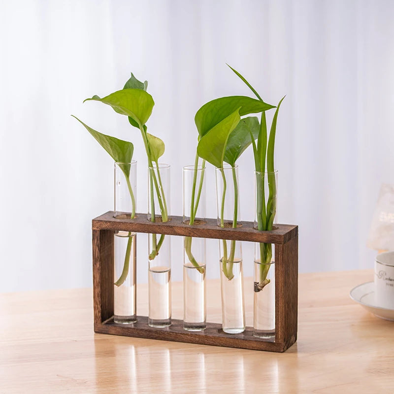 1 Set Creative Hydroponic Plants Container With Wood Frame Transparent Glass Test Tube Vase Bonsai Home Desktop Decor Crafts