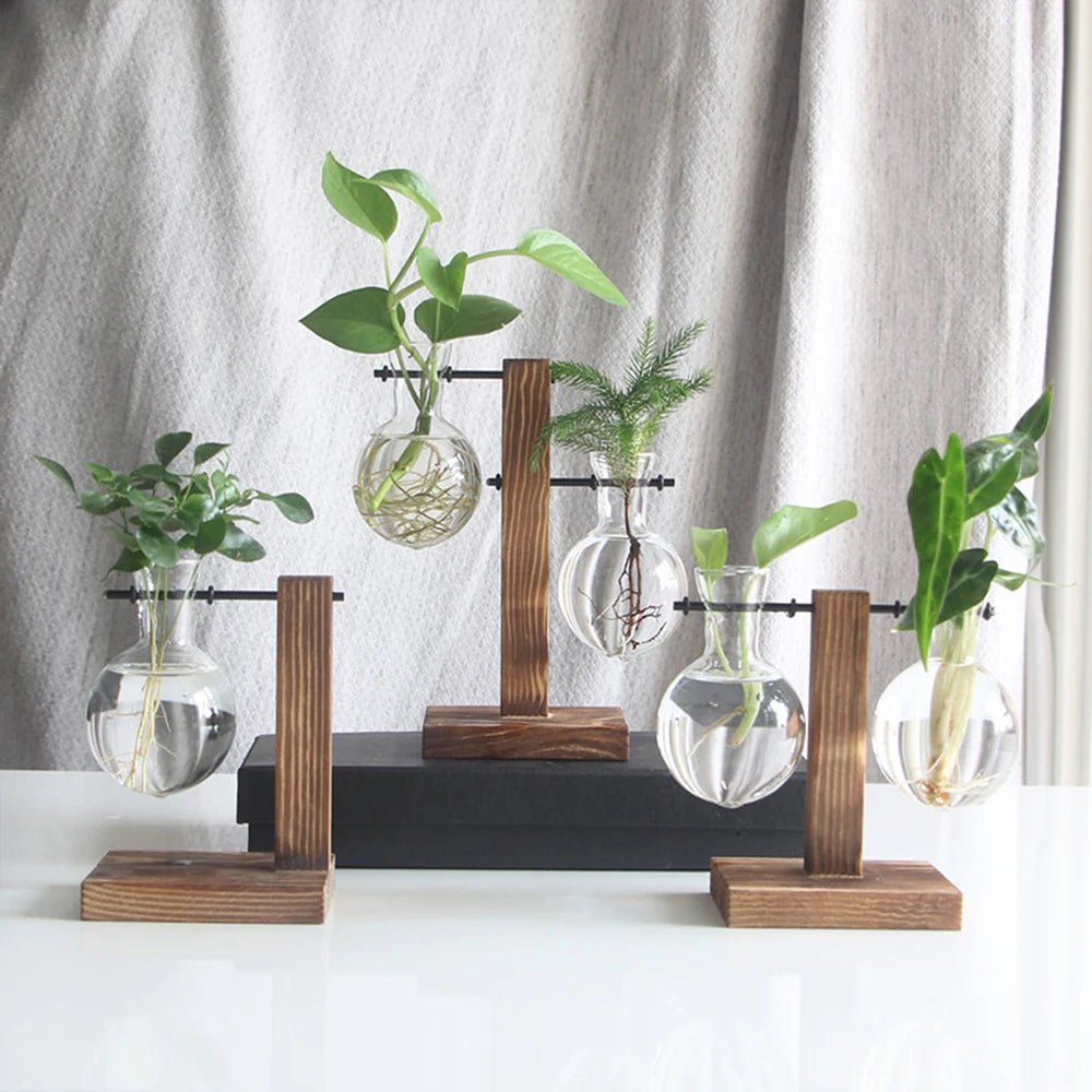 Glass Desktop Planter Bulb Vase Wooden Stand Hydroponic Plant Container Decor Living Room Office Plant Propagation Station